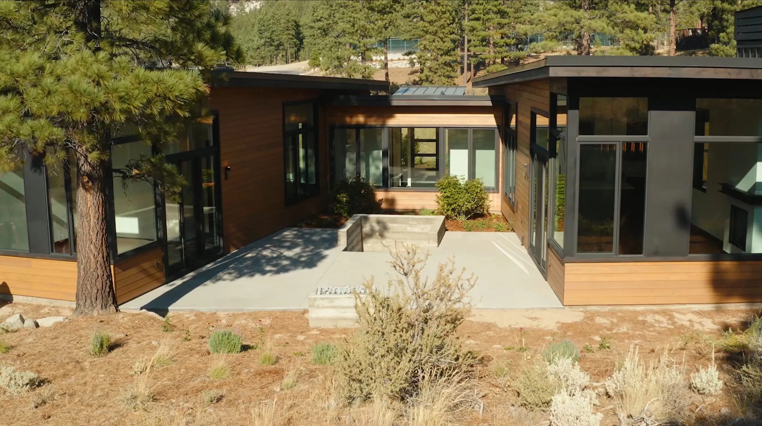 Elevated view of a courtyard and concrete patio surrounded by wood-sided wings with large glass doors and a pine tree