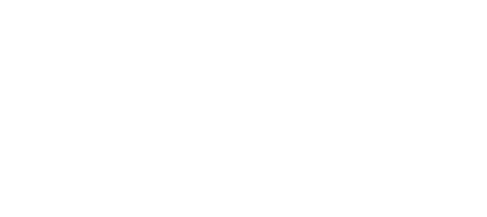 BRANDON MITCHELL