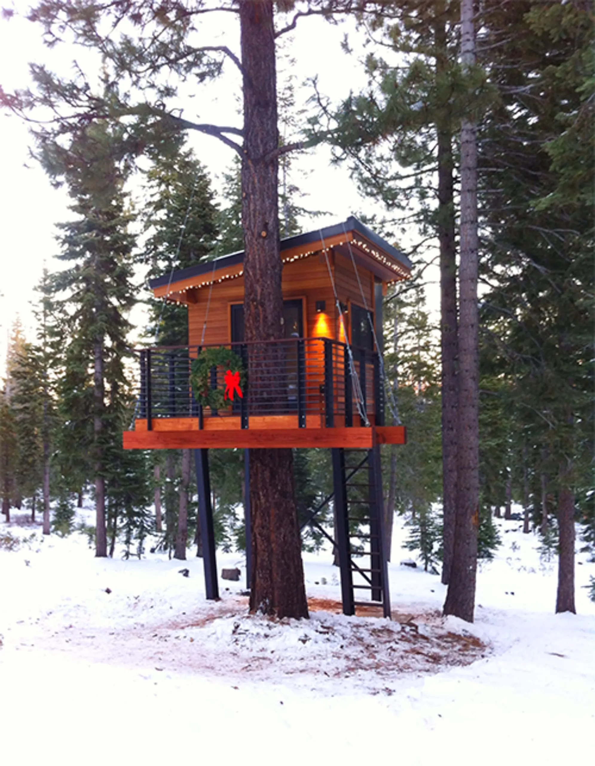 Modern treehouse in snow on steel legs around a pine trunk, with a wood cabin, cable-rail deck and holiday lights