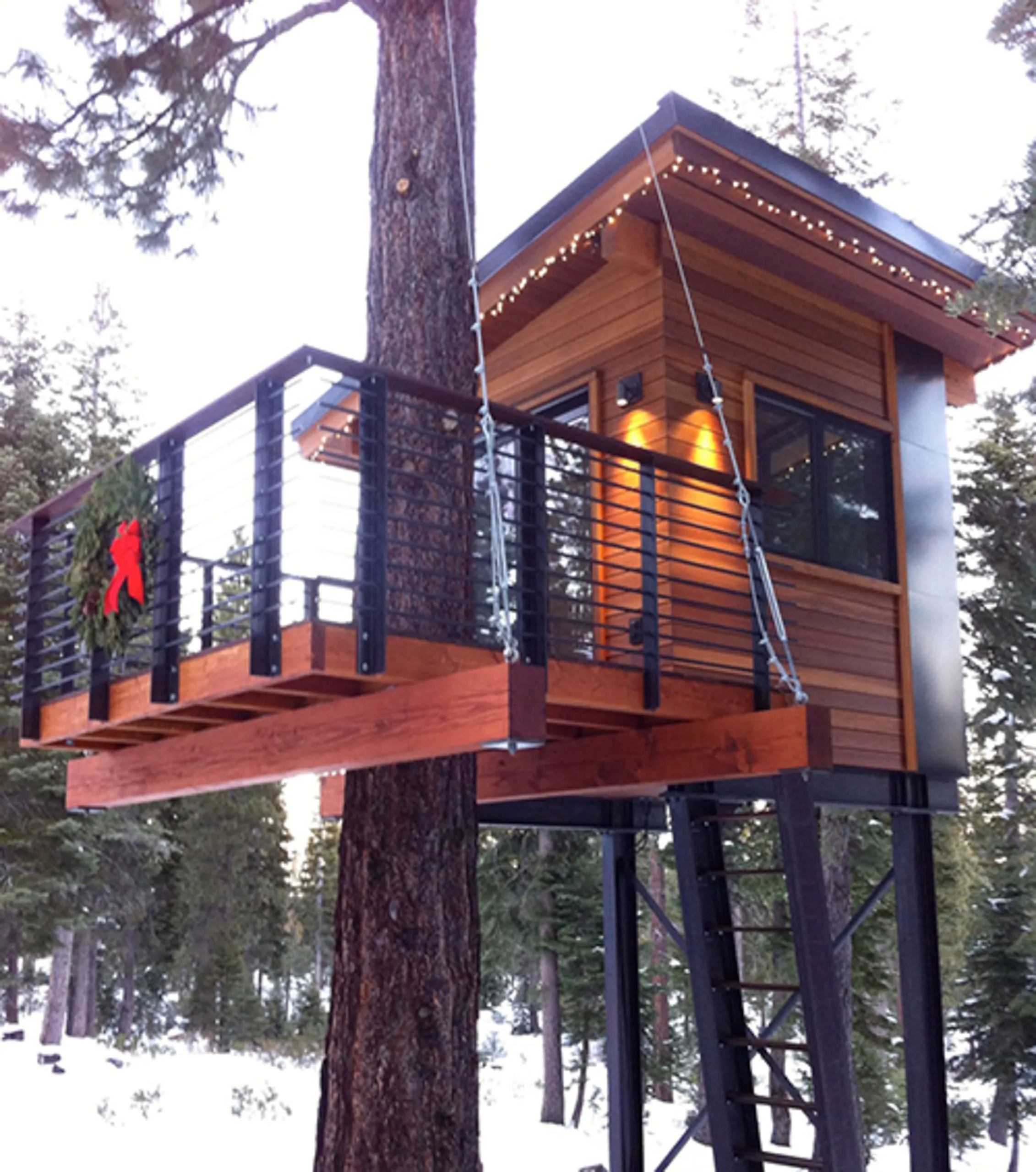 Close view of the treehouse with a cedar cabin, cable-rail deck cantilevered beside the trunk and steel ladder
