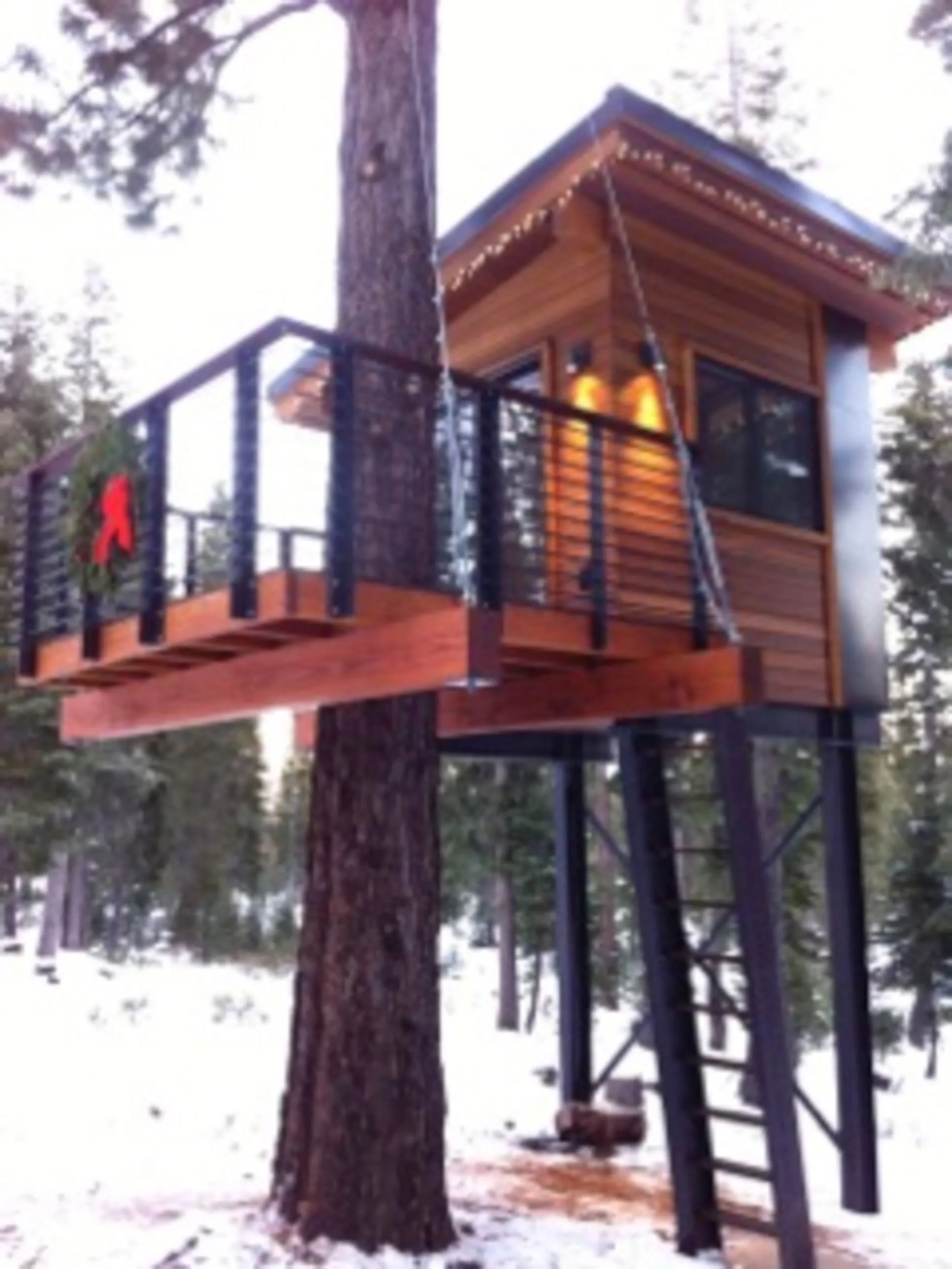 Treehouse with wood-clad cabin and railed deck wrapped around a large pine, on steel supports with a ladder in snow