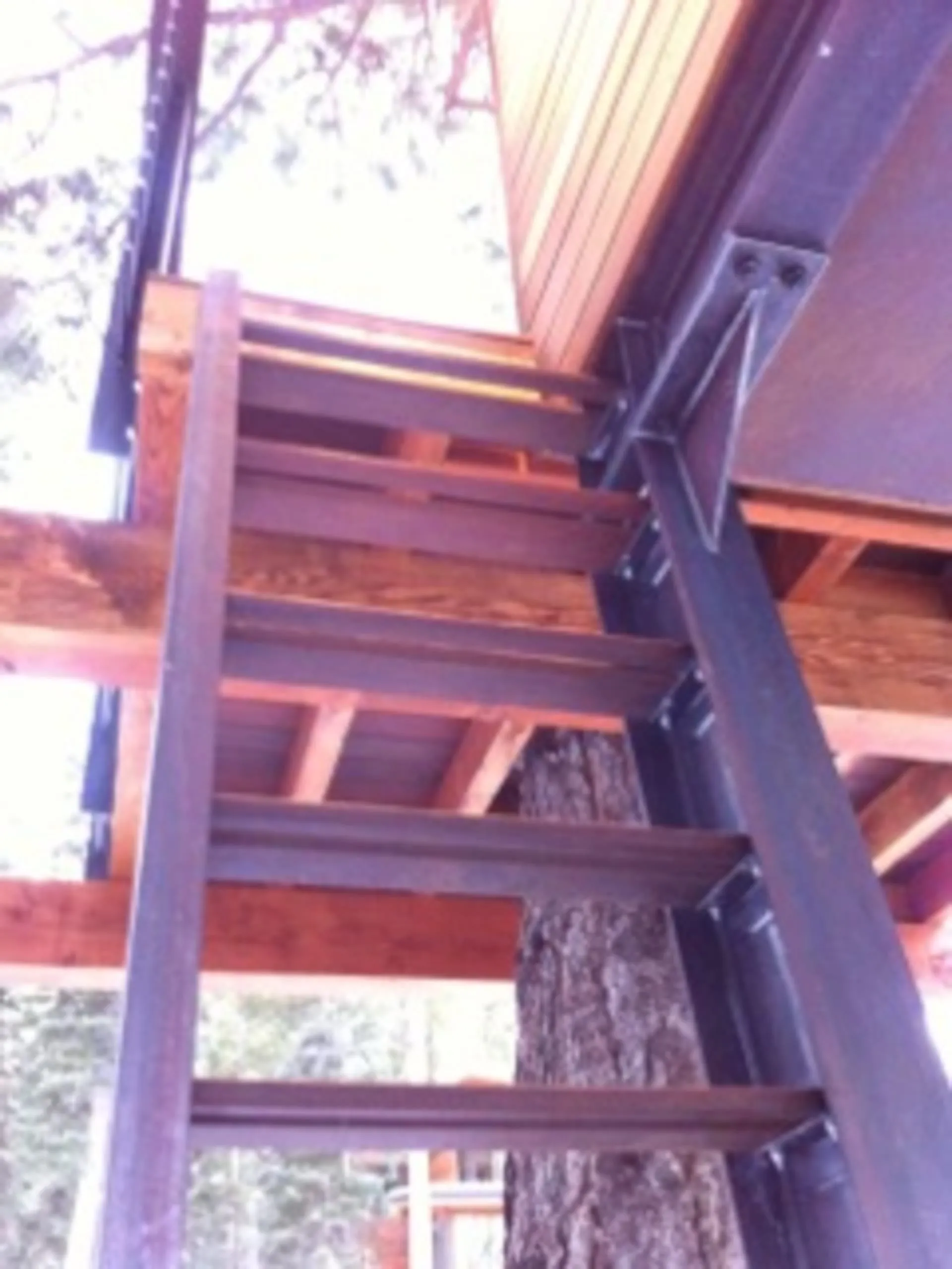 Upward view of a steel ladder and bolted steel support frame beneath the treehouse, with timber beams and tree trunk